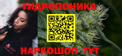 PSILOCYBIN Заводоуковск