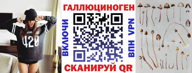блэк спрут рабочий сайт  Прохладный  Псилоцибиновые грибы Psilocybe  что такое наркотик 