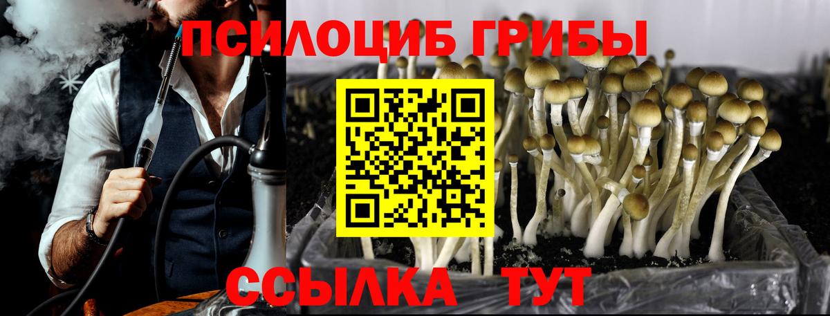 Прохладный  Псилоцибиновые грибы GOLDEN TEACHER  Вход с VPN  Галлюциногенные грибы ЛСД 